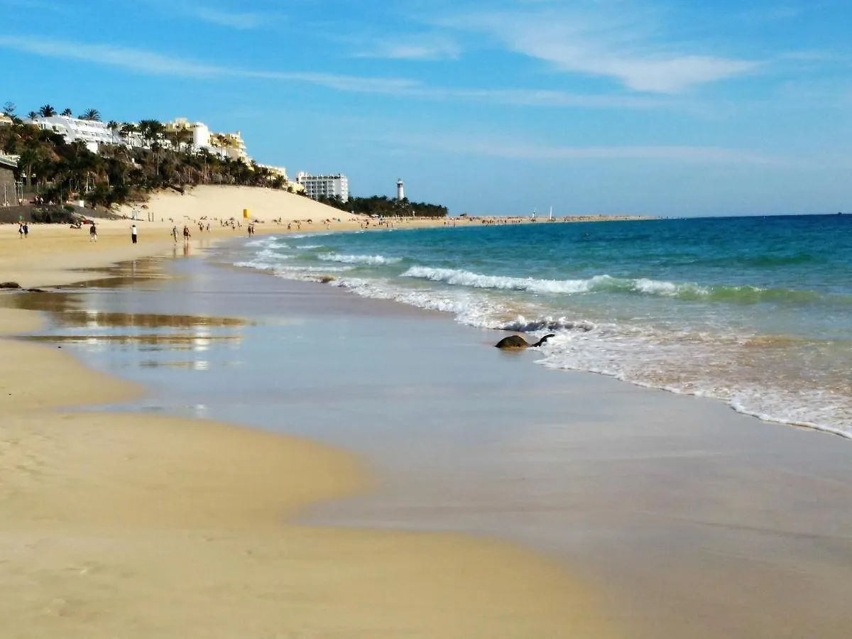Apartments Palm Garden Morro Jable  0*, Morro Jable (Fuerteventura) Spain